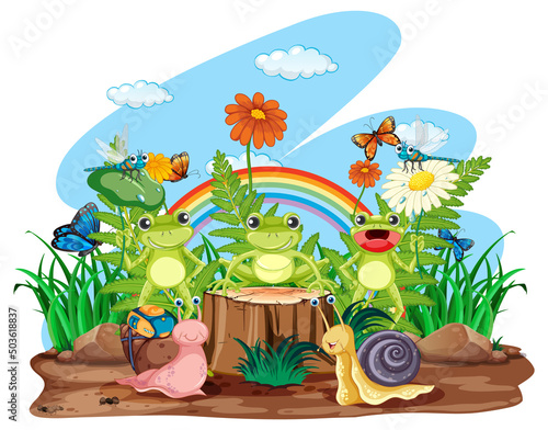Frog living in nature