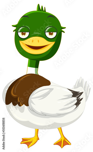 Cute mallard duck cartoon character