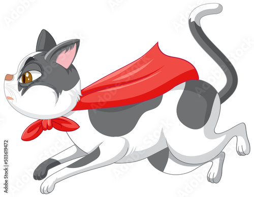 A hero cat on white background