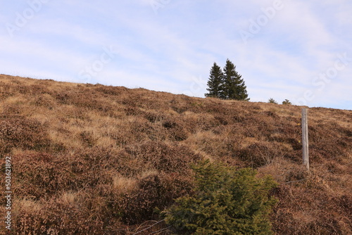 Blick vom Berg Belchen auf die Wolken behangenen Täler des Schwarzwalds	 photo