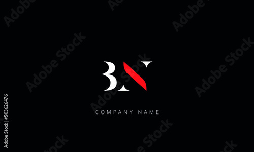 BN, NB, Letters Logo Monogram photo