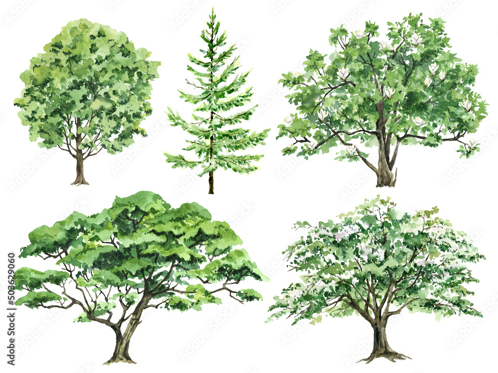 Obraz premium Watercolor set of Green trees, Summer landscape