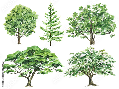 Watercolor set of Green trees  Summer landscape