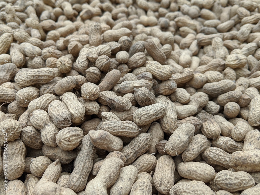 Raw peanut background, perspective view shot, groundnut or monkey nut Raw peanut background, perspective view shot, groundnut or monkey nut