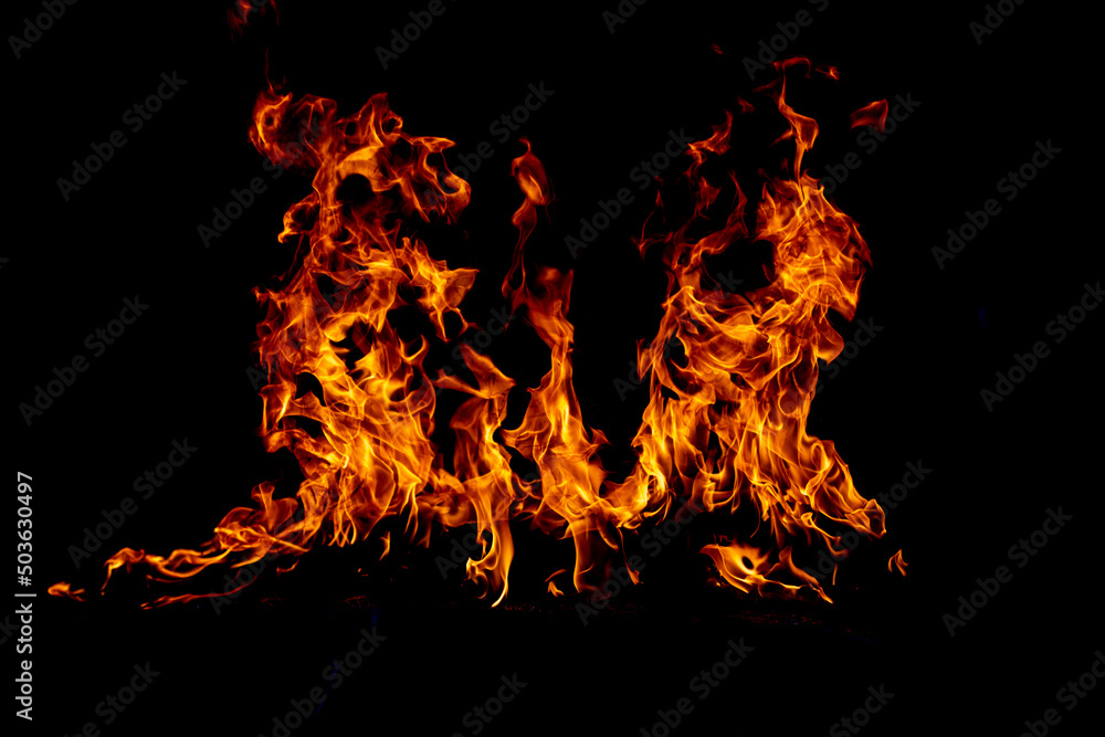 Obraz premium Flame fires. Burn lights on a black background. Fire flames on black background. Abstract fire flame background.