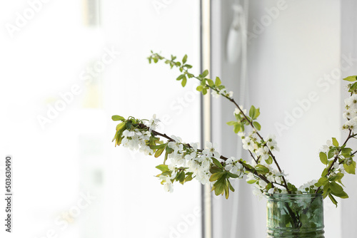 Vase with blooming tree branches near window, closeup