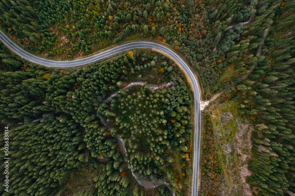 Aerial view of beautiful forest and road on autumn day Aerial view of beautiful forest and road on autumn day