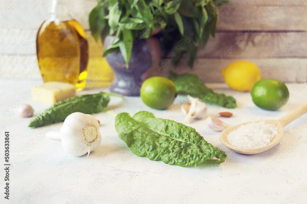 Ingredients for making pesto sauce, basil leaves, olive oil, garlic, salt, cheese and citruses on the kitchen table Ingredients for making pesto sauce, basil leaves, olive oil, garlic, salt, cheese and citruses on the kitchen table