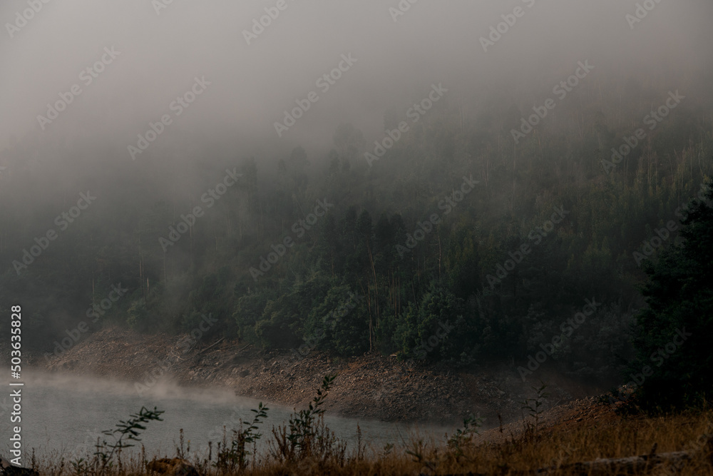 Atmospheric view to hillside covered with trees near the water covered with white haze and fog Atmospheric view to hillside covered with trees near the water covered with white haze and fog