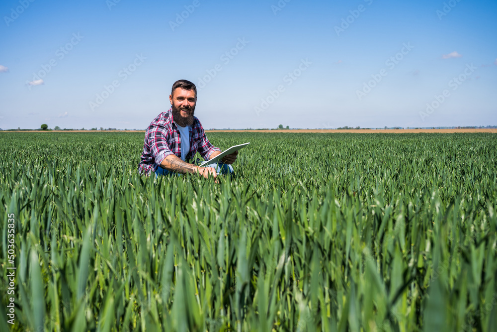 Farmer is examining the progress of crops in his barley field. Farmer is examining the progress of crops in his barley field.