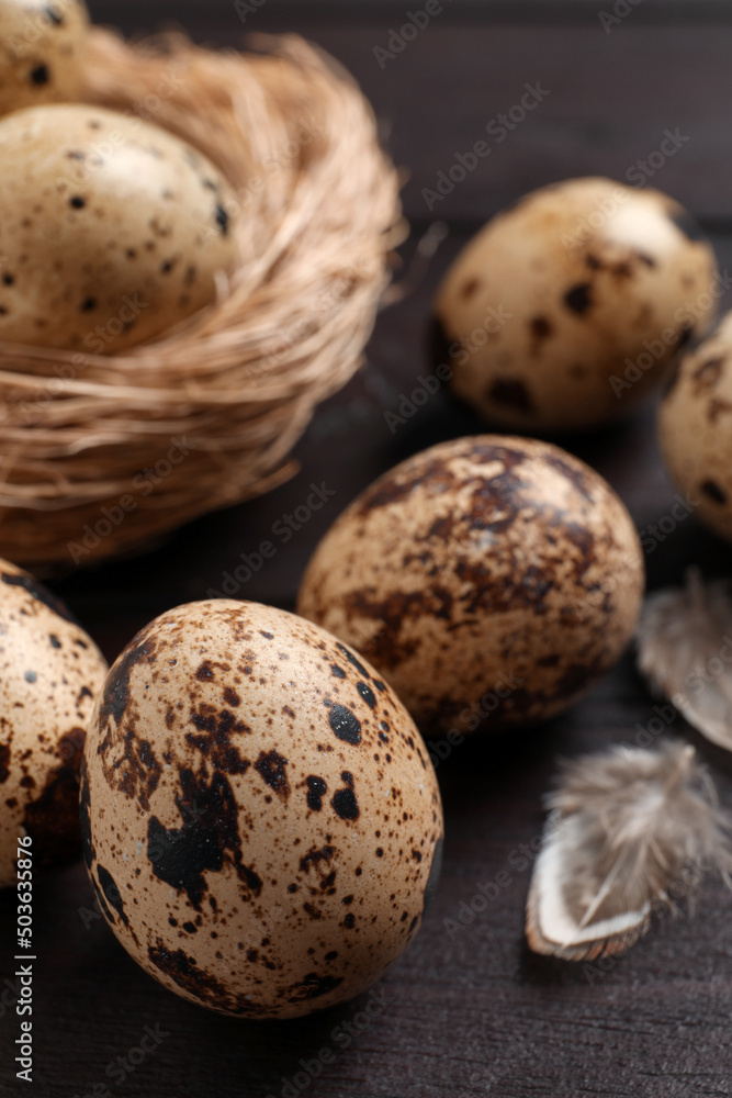 Quail eggs and feathers near nest on wooden table, closeup Quail eggs and feathers near nest on wooden table, closeup