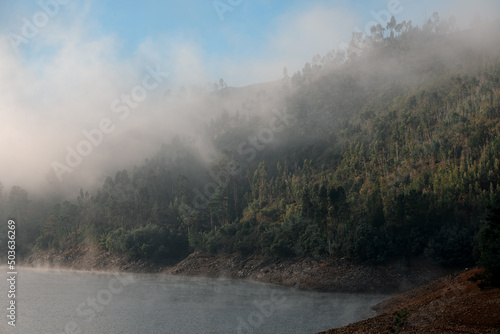 Fototapeta beautiful hillside covered with trees near the water covered with white haze and