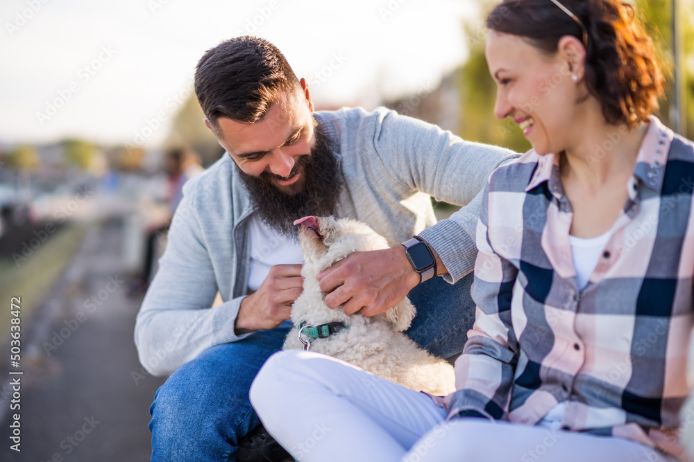 Adult couple enjoying sunny day with their dogs. Adult couple enjoying sunny day with their dogs.