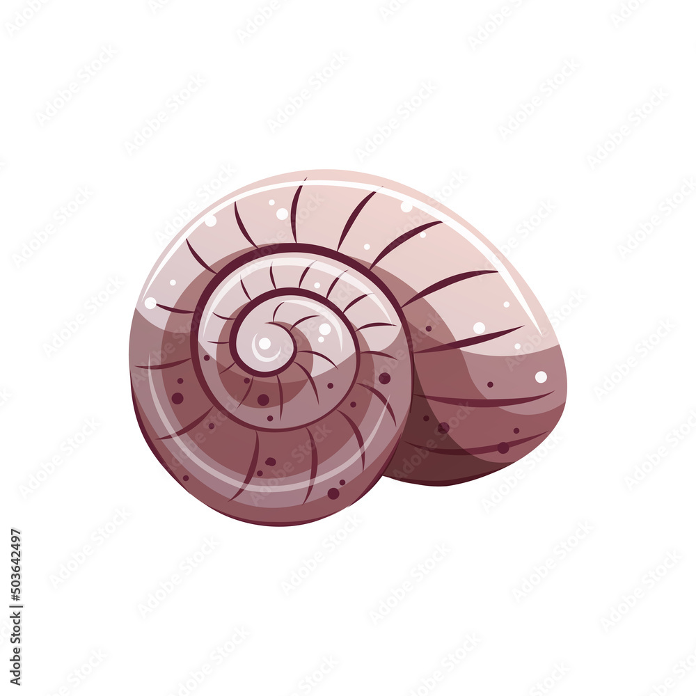 Seashell on the white background. Beach, marine nature, nautical concept. Isolated vector collection. Seashell on the white background. Beach, marine nature, nautical concept. Isolated vector collection.