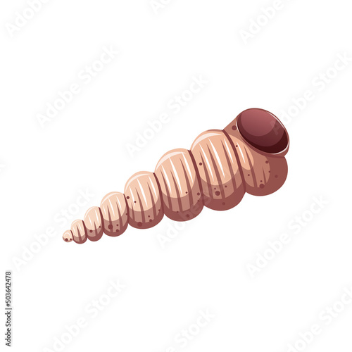 Seashell on the white background. Beach, marine nature, nautical concept. Isolated vector collection.