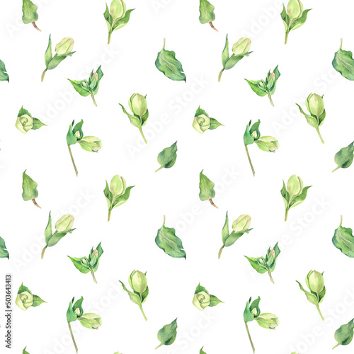 Watercolor floral seamless pattern. Isolated  hellebore flowers on white background.  Hand drawn of painting.