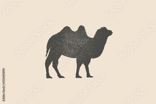 Silhouette of a Bactrian camel is drawn with a stamp effect. Animal. Vintage emblem. Design element for shop, market, packaging, labels, and logo. Vector illustration.