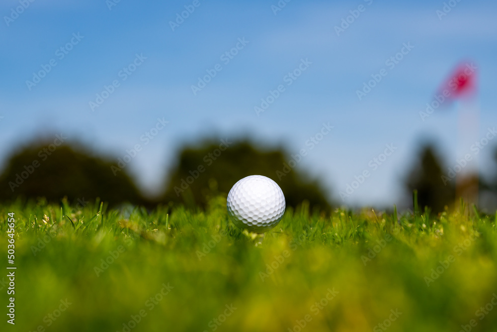 Golf ball on tee in golf course with green background. Golf ball on green in the evening golf course with sunshine in Thailand. Golf ball on tee in golf course with green background. Golf ball on green in the evening golf course with sunshine in Thailand.