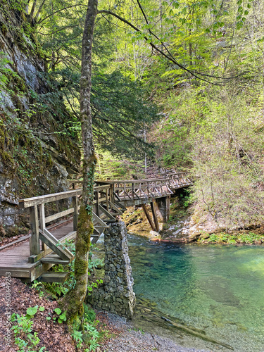 Hiking trail with wooden bridges over river Kamacnik, Gorski kotar, Croatia