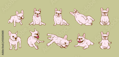 Cute French Bulldog in different poses vector set