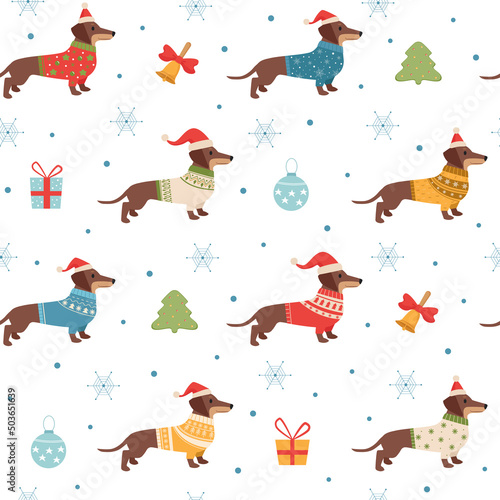 dachshund pattern. christmas seasonal template with long dog in winter knitted sweaters clothes for pets. Vector seamless background