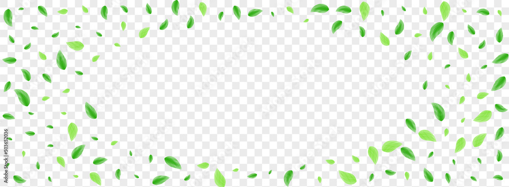 Light Green Plant Background Transparent Vector. Vegetation Vitality Texture. Beauty Illustration. Greenish Structure Design. Sheet Garden. - obrazy, fototapety, plakaty 