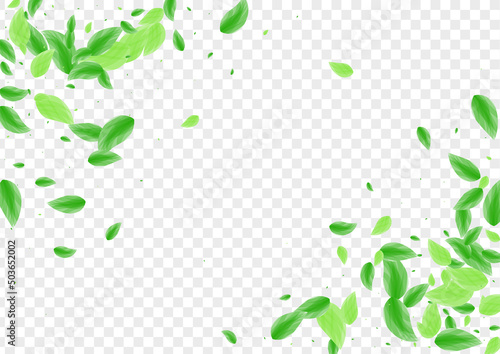 Green Vegetation Background Transparent Vector. Leaves Garden Texture. Peaceful Design. Greenish Label Card. Plant Sprout.