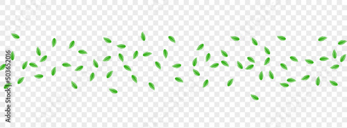 Greenish Greenery Background Transparent Vector. Sheet Falling Texture. Vibrant Illustration. Light Green Twig Frame. Leaf Structure.