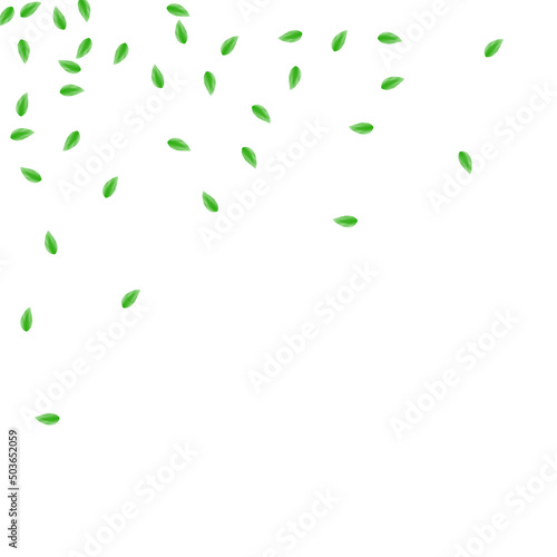 Greenish Plant Background White Vector. Vegetation Elegant Frame. Growth Design. Green Border Illustration. Leaf Healthy.