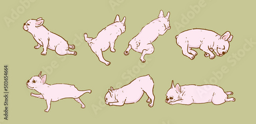 Cute French Bulldog in different poses isolated vector set