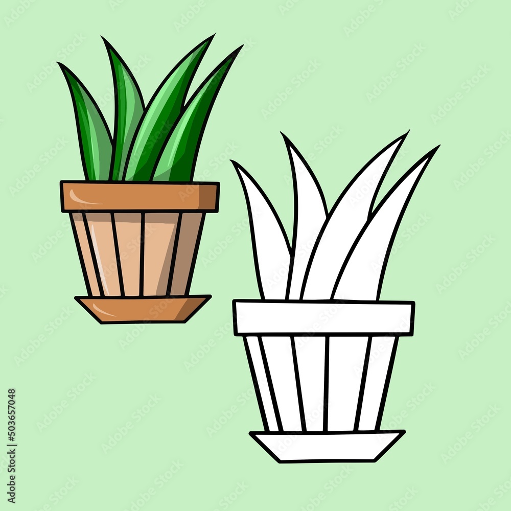 A set of color and sketch image. Green plant sansevieria, aloe in a ceramic pot, indoor plants, cartoon vector A set of color and sketch image. Green plant sansevieria, aloe in a ceramic pot, indoor plants, cartoon vector