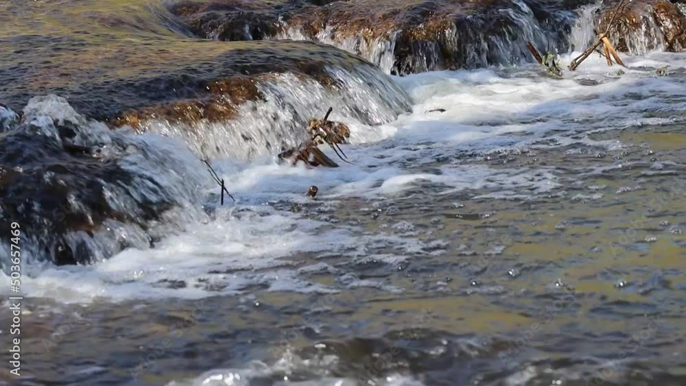 Wild mountain river flowing through stone boulders. Abundant clear stream шт sunny day. Cold water splashing near rapids. Water background concept. High quality FullHD footage Wild mountain river flowing through stone boulders. Abundant clear stream шт sunny day. Cold water splashing near rapids. Water background concept. High quality FullHD footage