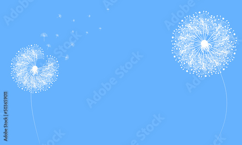 Dandelion abstract vector. Template for background  poster  wallpaper. Vector illustration.