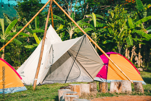 tent in the forest