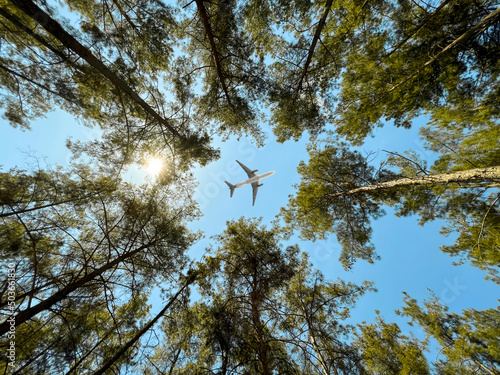 Fotografie Airplane flying above the forest, bottom view