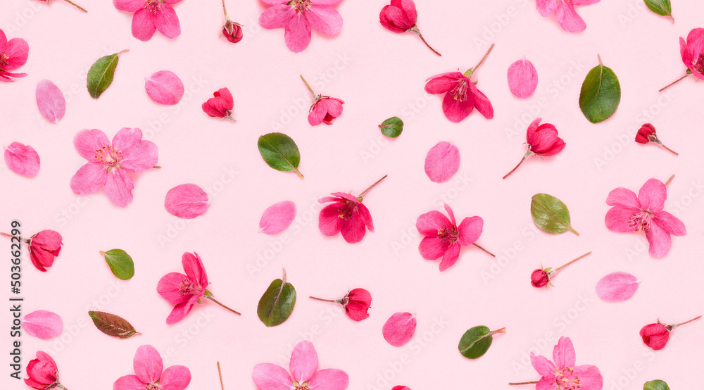 Fototapeta premium Seamless floral pattern of apple tree blooming flowers buds leaves and petals on pink background flat lay top view