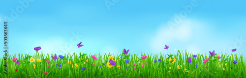 Summer meadow with butterflies, flowers and grass. Vector cartoon border of green lawn with flying insects with purple wings, plants and blossoms. Spring landscape with floral field and blue sky © PollyVa