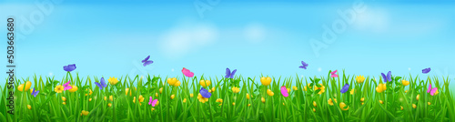 Spring meadow with flowers, butterflies and green grass. Vector cartoon border of floral lawn with flying blue and pink insects, plants and yellow blossoms. Spring landscape of field and blue sky © PollyVa