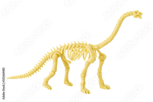 Fototapeta Naklejka Na Ścianę i Meble -  Dinosaur skeleton model toy isolated on white
