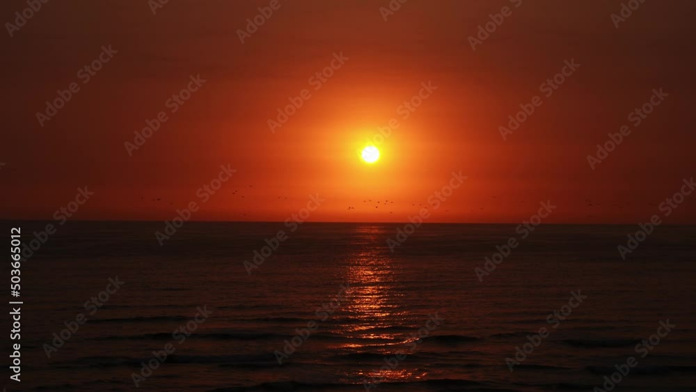 a beautiful reddish sunset over the sea reflecting the brightness of the sun with many seagulls flying over the beach in 4k a beautiful reddish sunset over the sea reflecting the brightness of the sun with many seagulls flying over the beach in 4k