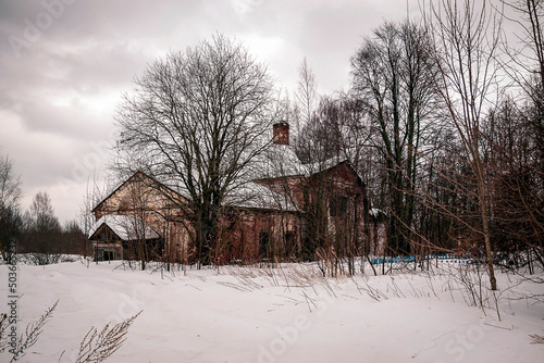 destroyed building in the bushes