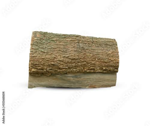 dry logs on a white background