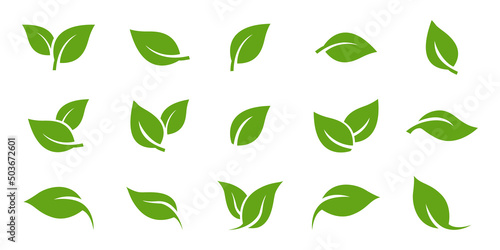 Fotografia, Obraz Green leaf icons set