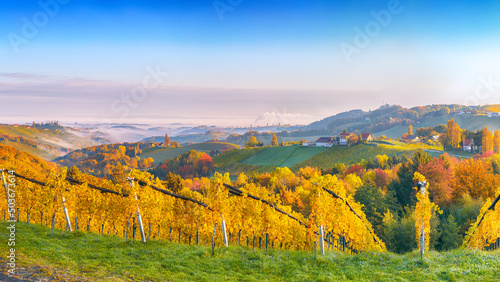 Astonishing vineyards landscape in South Styria near Gamlitz.