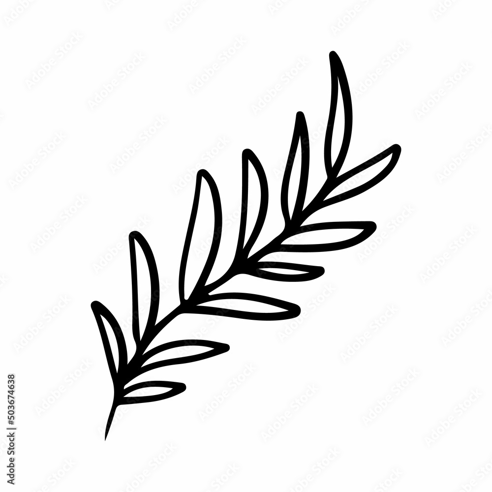 Black and white graphic branch. Line illustration isolated on white background.