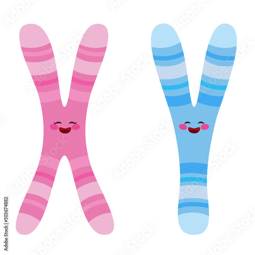 Cute pink X and blue Y Chromosome characters isolated on white background