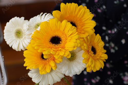 Yellow and white chrysanthemums in female hands on a blurry background close-up. Beautiful bright chrysanthemums bloom in autumn