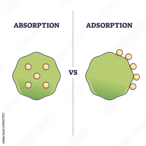 Absorption vs adsorption differences on molecular surface outline diagram. Labeled educational scheme with physical material or substance phenomena and chemical characteristics vector illustration.