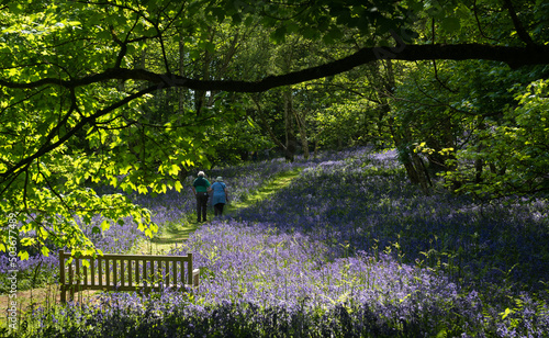 Couple on a walk in woods