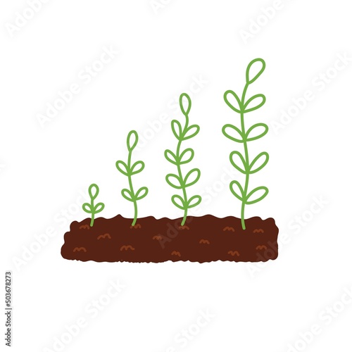 Growing plant in the soil phases concept. Gardening print showing stages like sprout, plant and tree. Biology cycle flat vector illustration